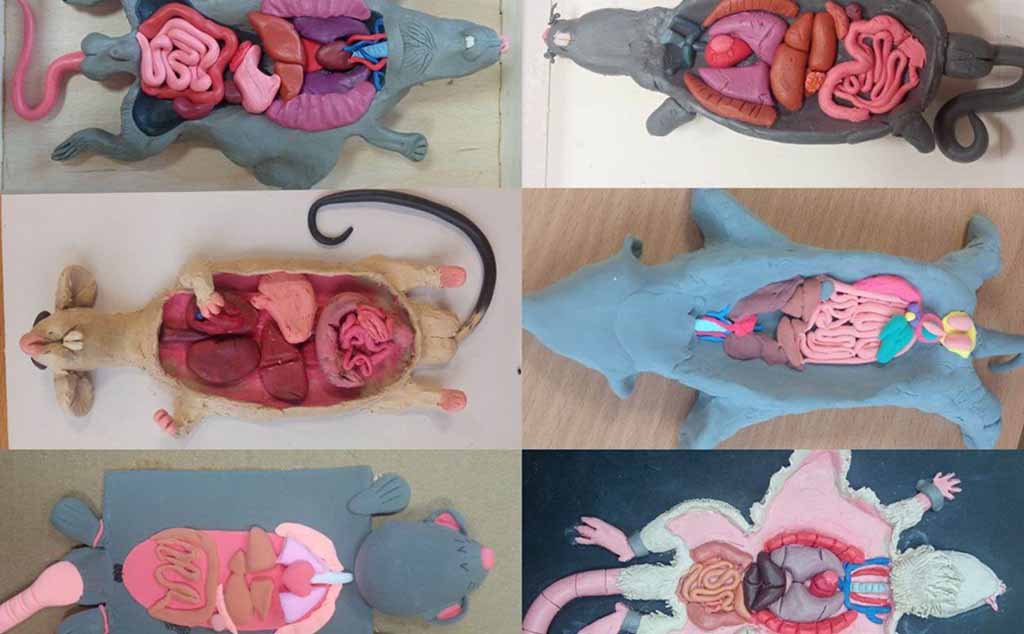 Проведено открытое практическое занятие по учебной дисциплине «Иностранный язык в профессиональной деятельности»